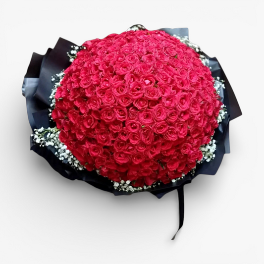 Bouquet of red roses with a black wrap on a white background