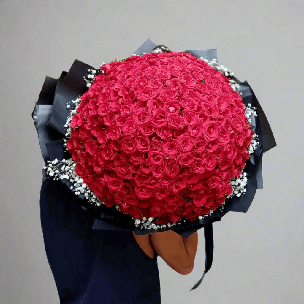 Bouquet of red roses with a black ribbon on a white background