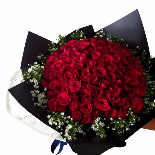 Bouquet of red roses wrapped in black paper with a white ribbon on a white background