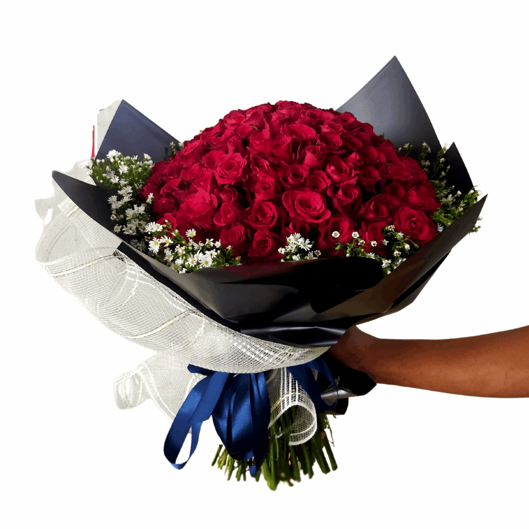 Bouquet of red roses wrapped in black paper with blue ribbons, held by a hand on a white background.