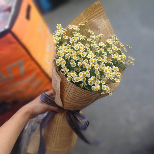 Eclipse - The Flowercart