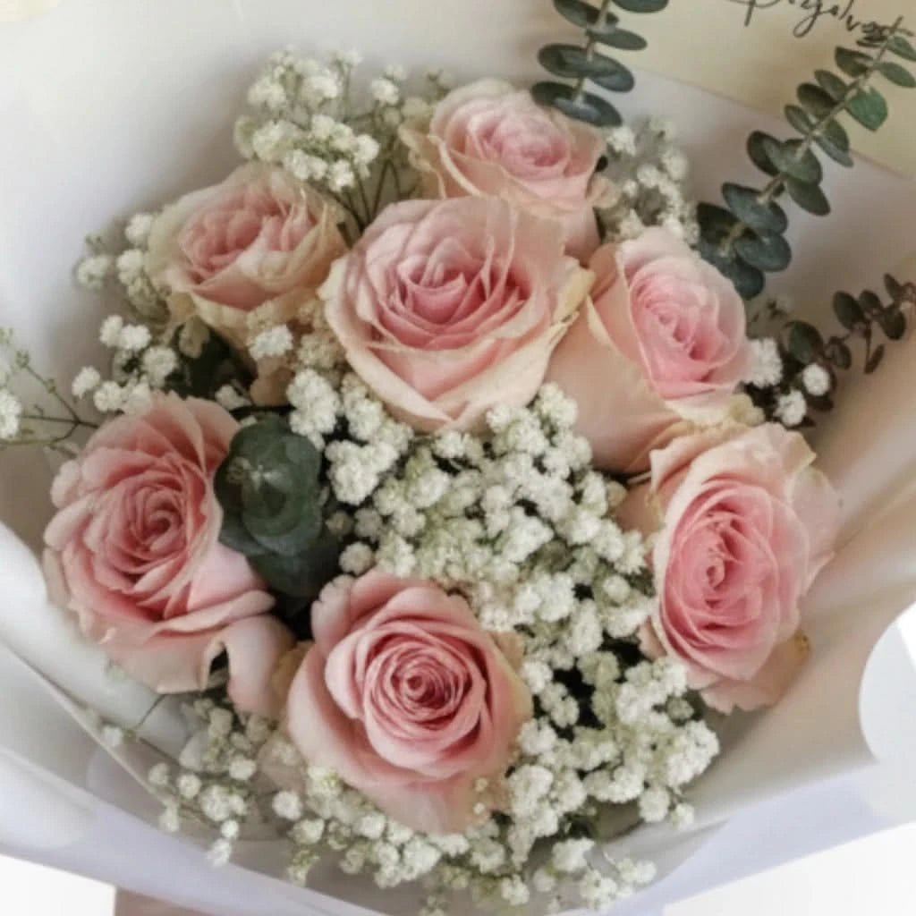 Blush Romance