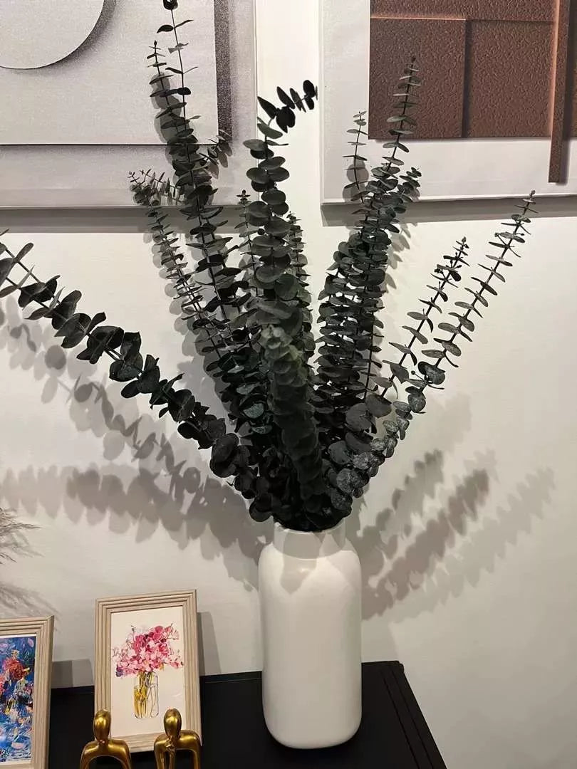 Eucalyptus Dry
