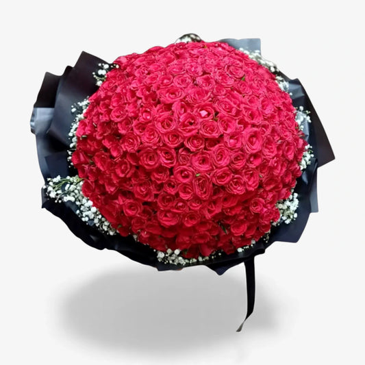 199 Red Roses Midnight Edition