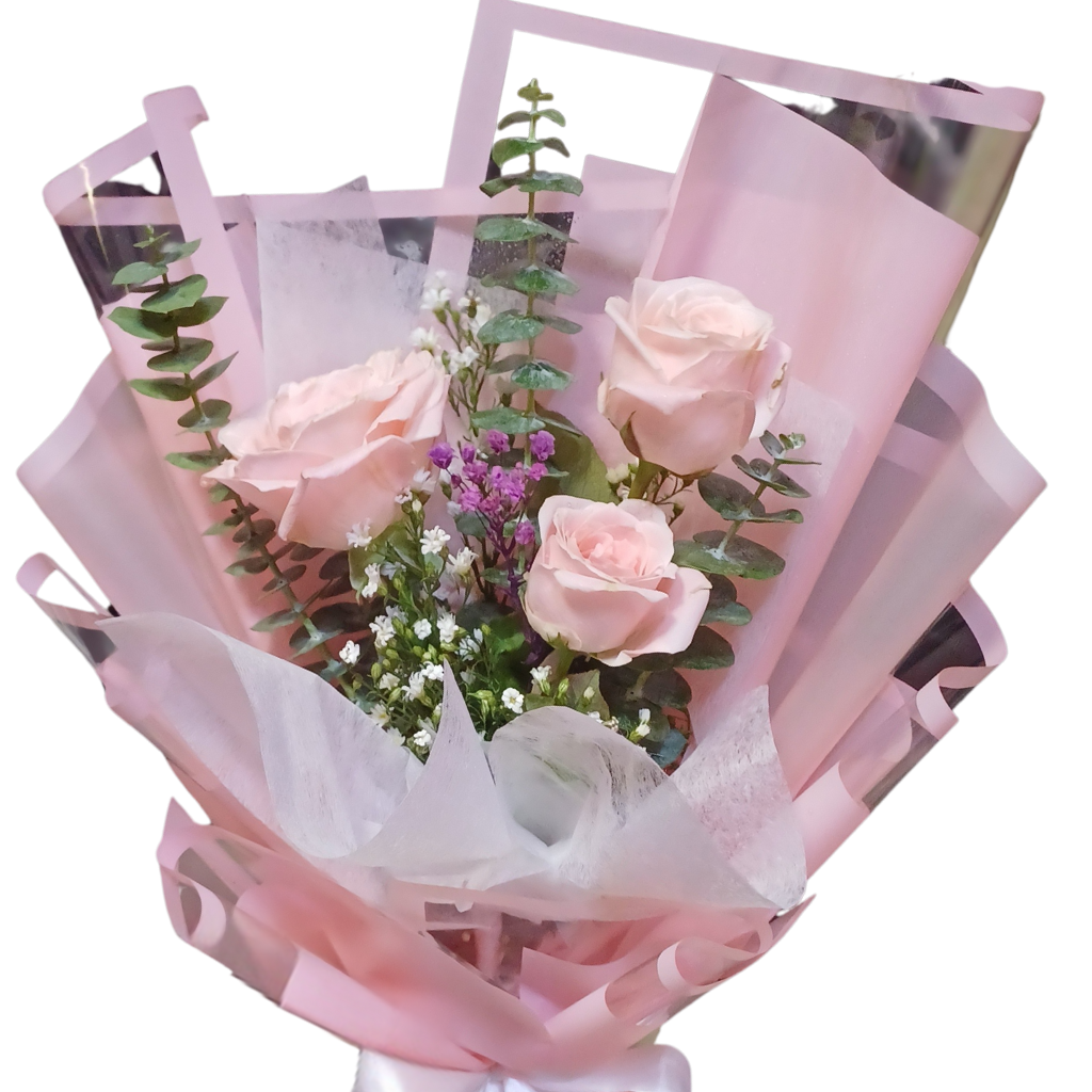 Rosa