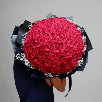 Bouquet of red roses with a black ribbon on a white background
