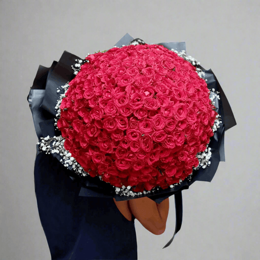 Bouquet of red roses with a black ribbon on a white background