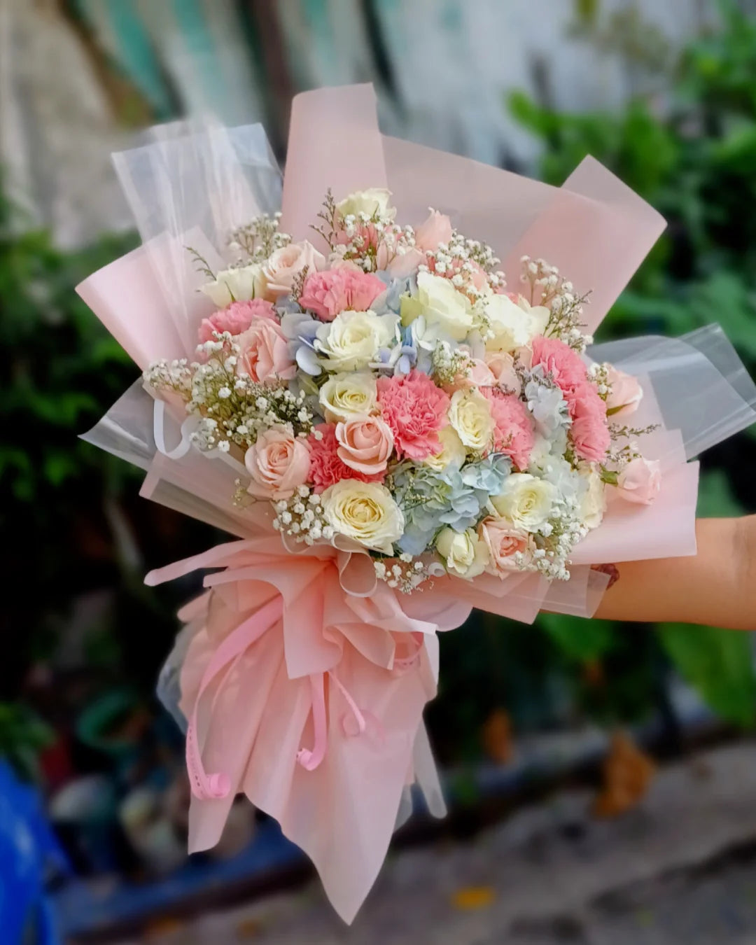 Pastel dream actual photo