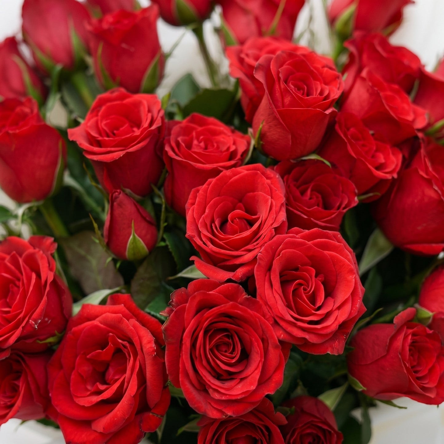 The Flowercart 36 Stalk of Love bouquet featuring thirty-six vibrant red roses wrapped in elegant white paper.