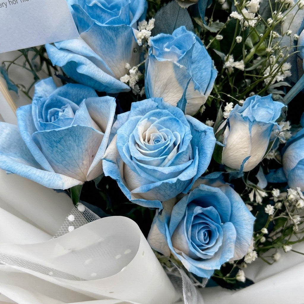 The Flowercart bouquet of twelve blue and white spray roses with delicate baby's breath filler in white wrapping.