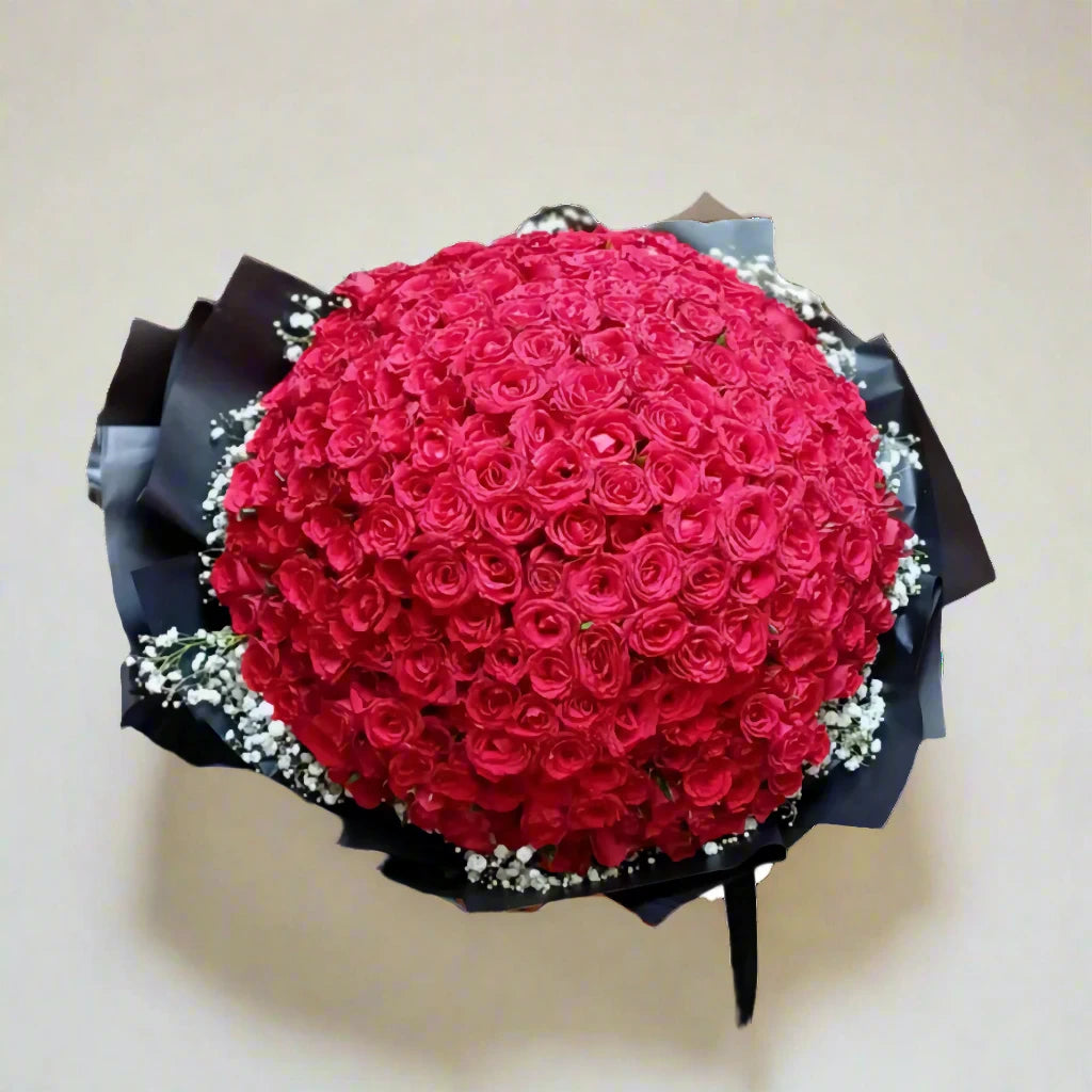 Bouquet of red roses with black ribbon on a light background